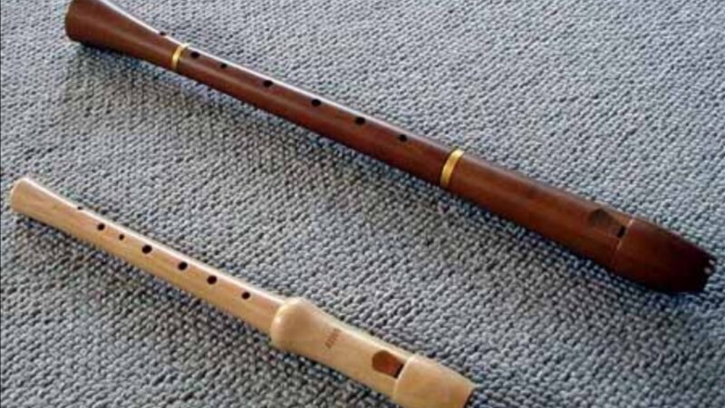 Počeo jubilarni Medjunarodni susret flautista u Valjevu