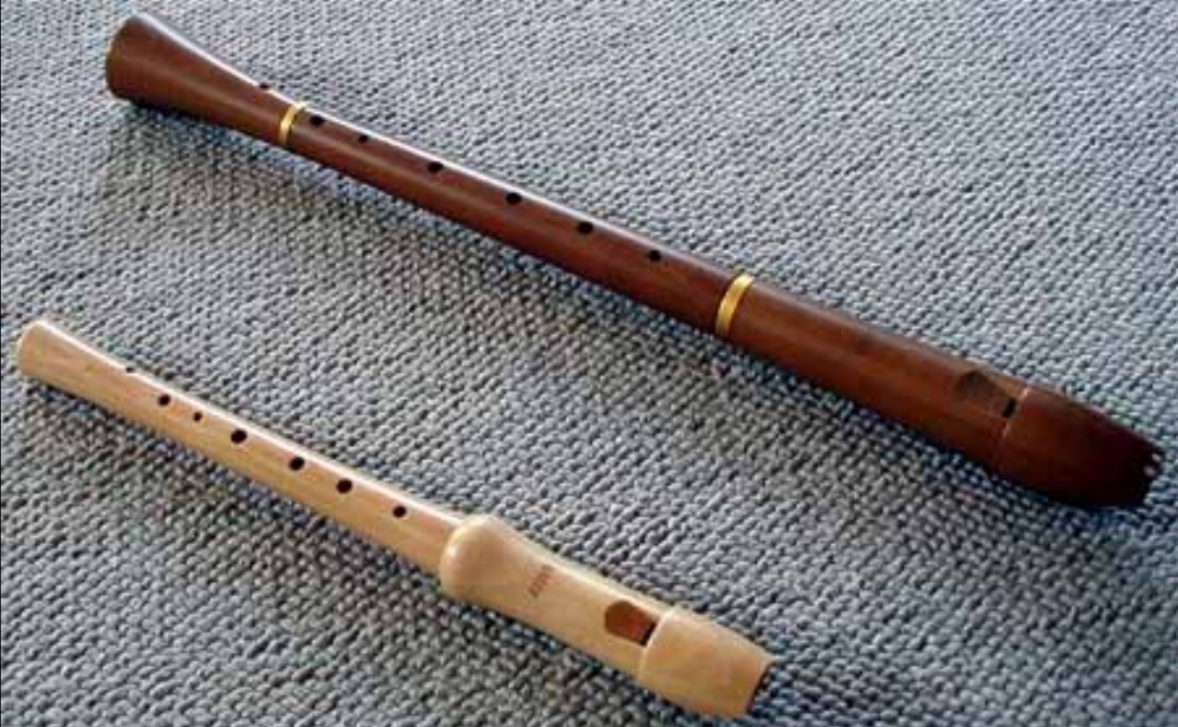 Počeo jubilarni Medjunarodni susret flautista u Valjevu