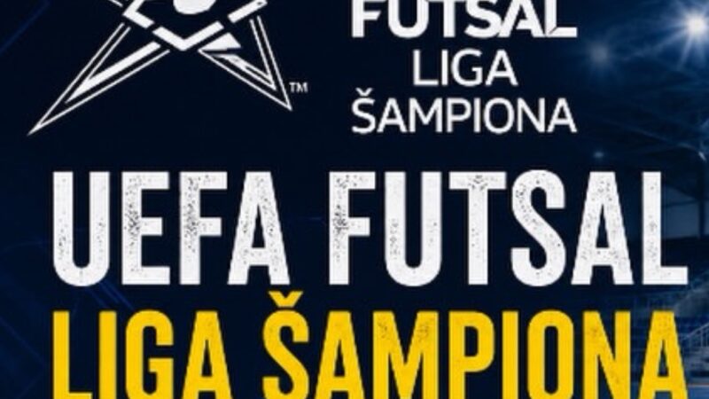Liga šampiona ponovo u Loznici